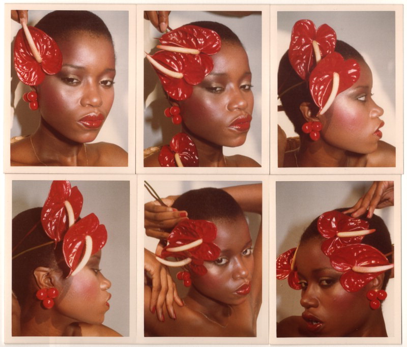 Introduction: Skin, Surface, Sensorium | Uri McMillan (28.1)