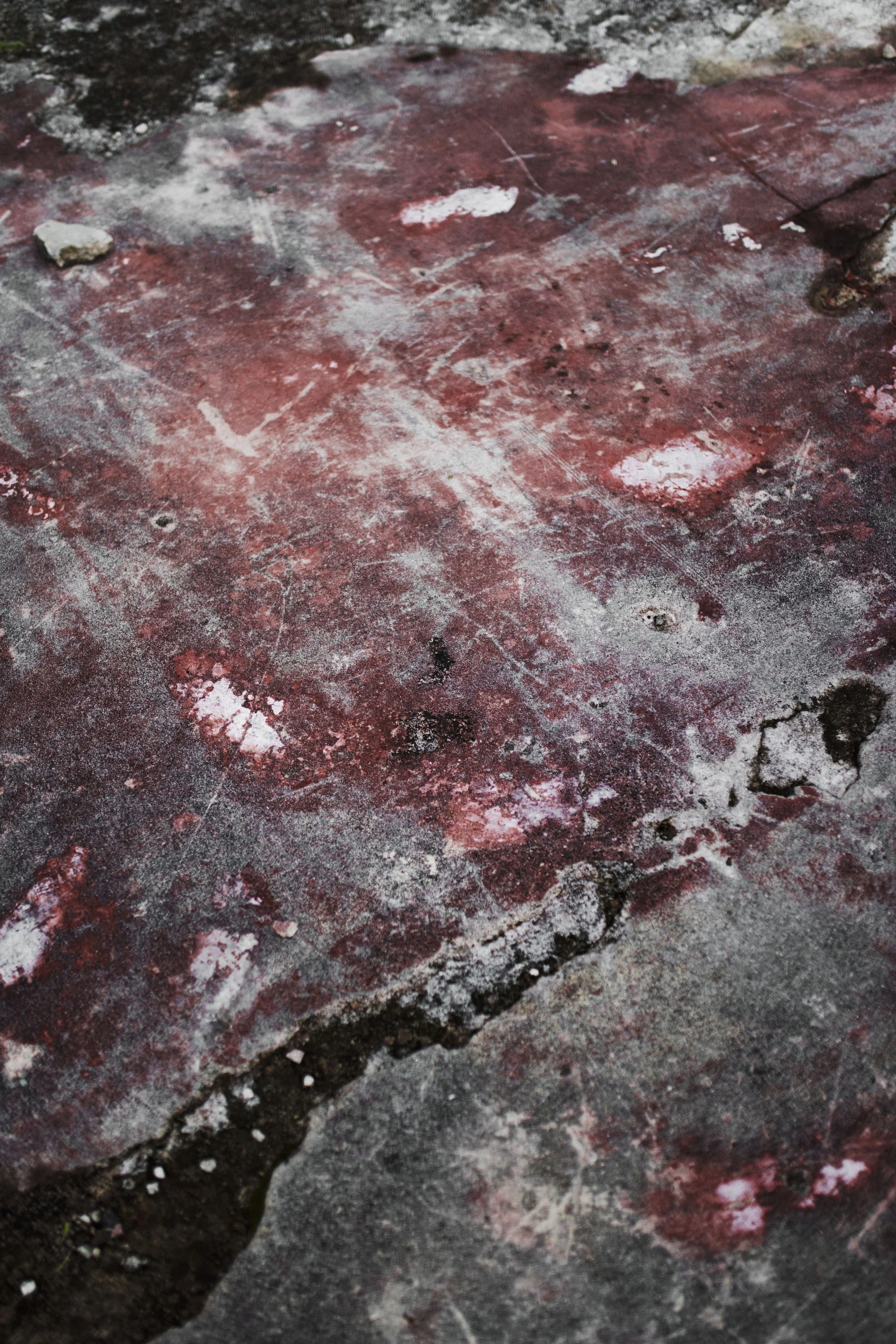 Elle Pérez: Stone Bloom , 2018