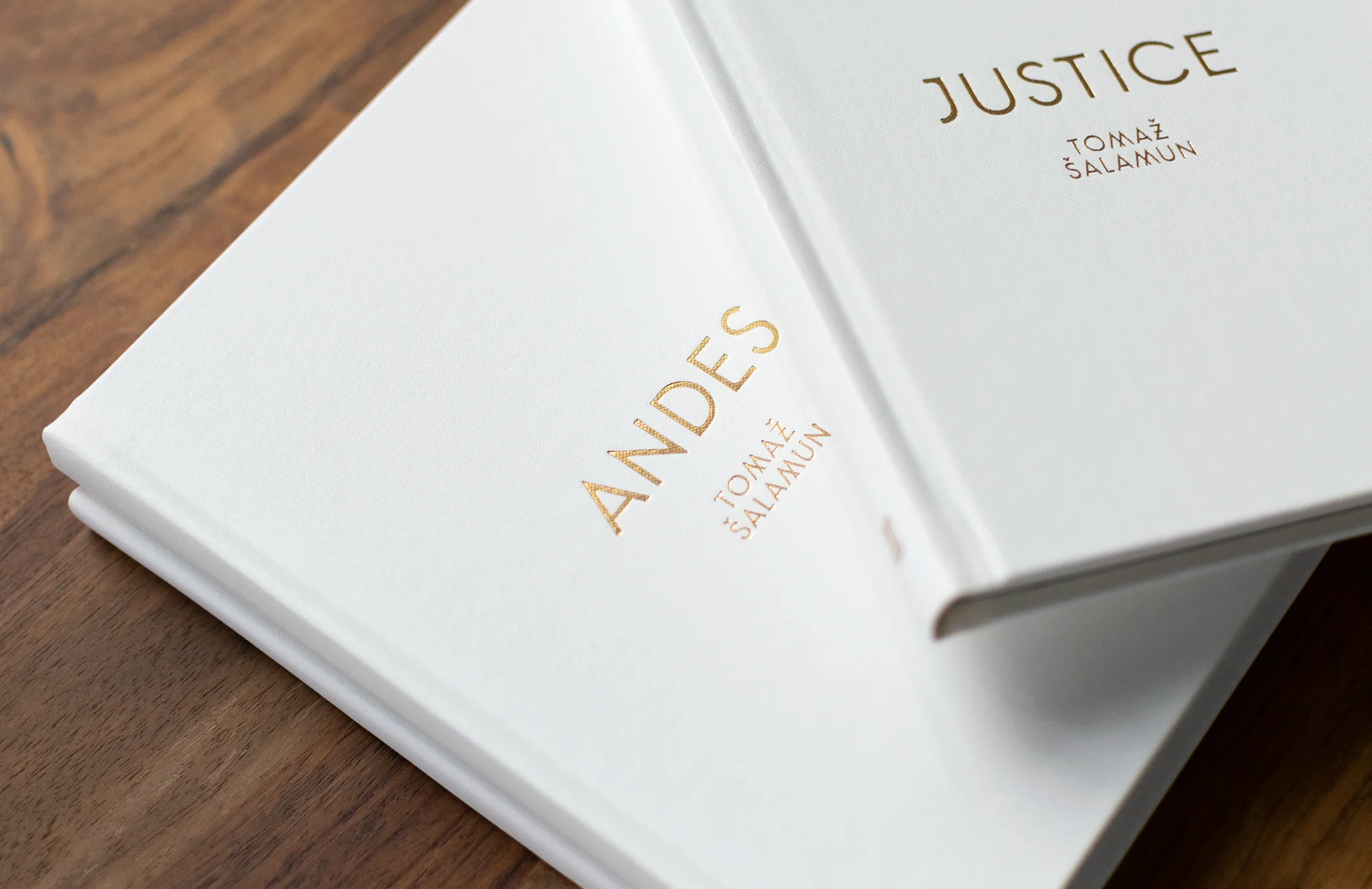 Detail of Andes & Justice by Tomaz Salamun. Gold foil on clothbound book. Custom typography by Abby Haddican Studio.