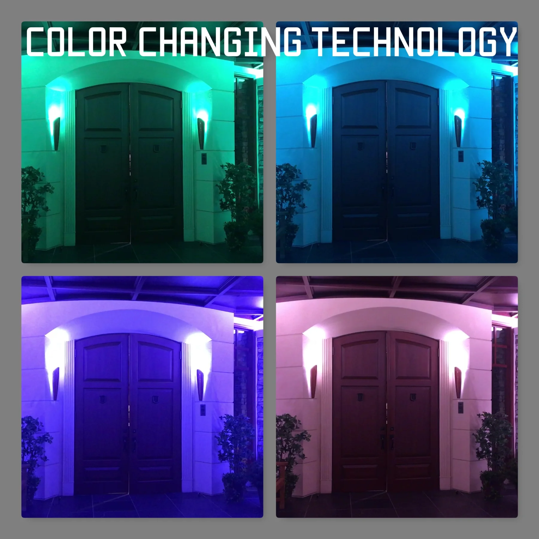 lutron.jpg