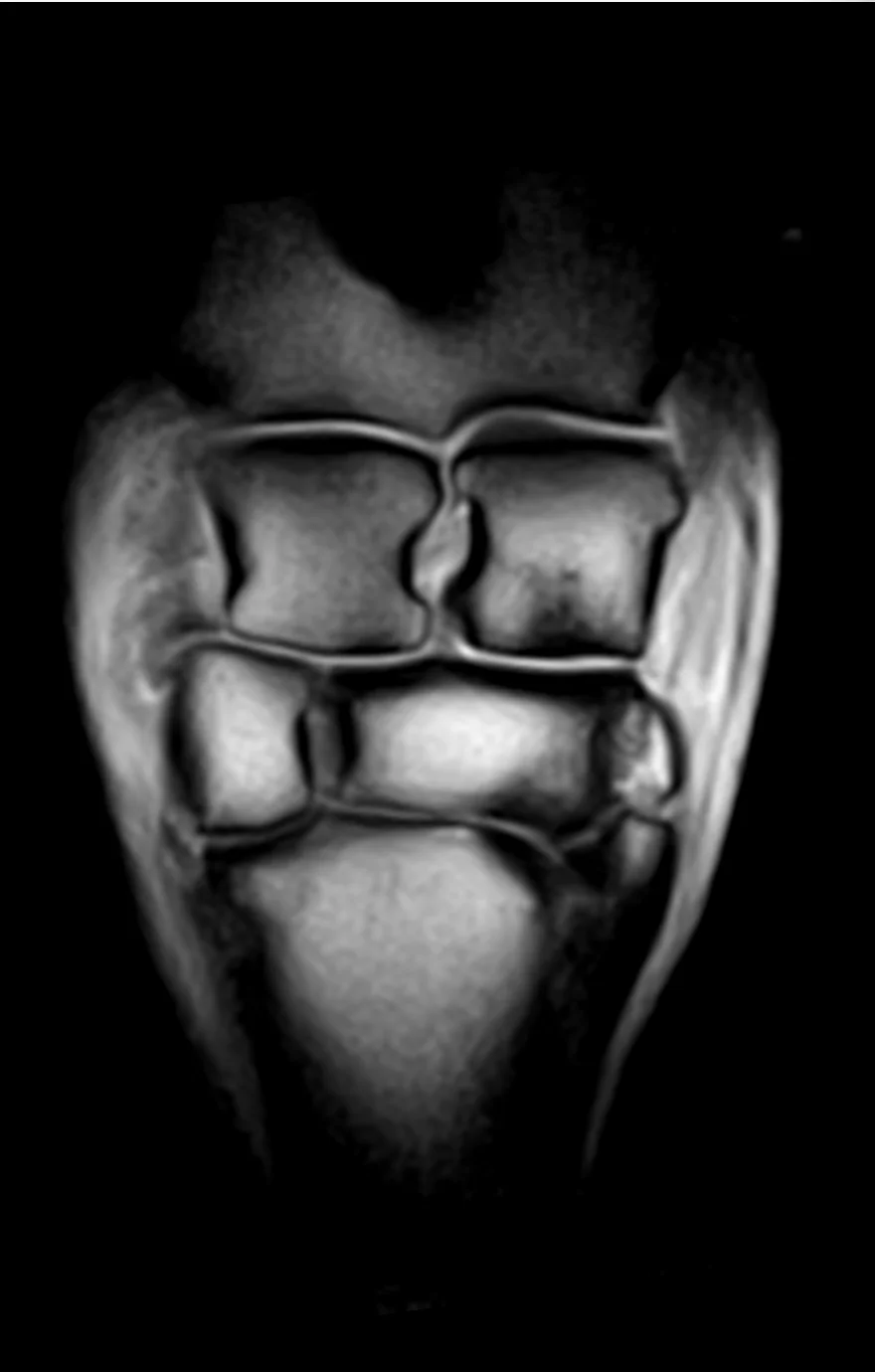 20170114-Screen Shot 2017-01-14 at 12.27.19 PM.jpg