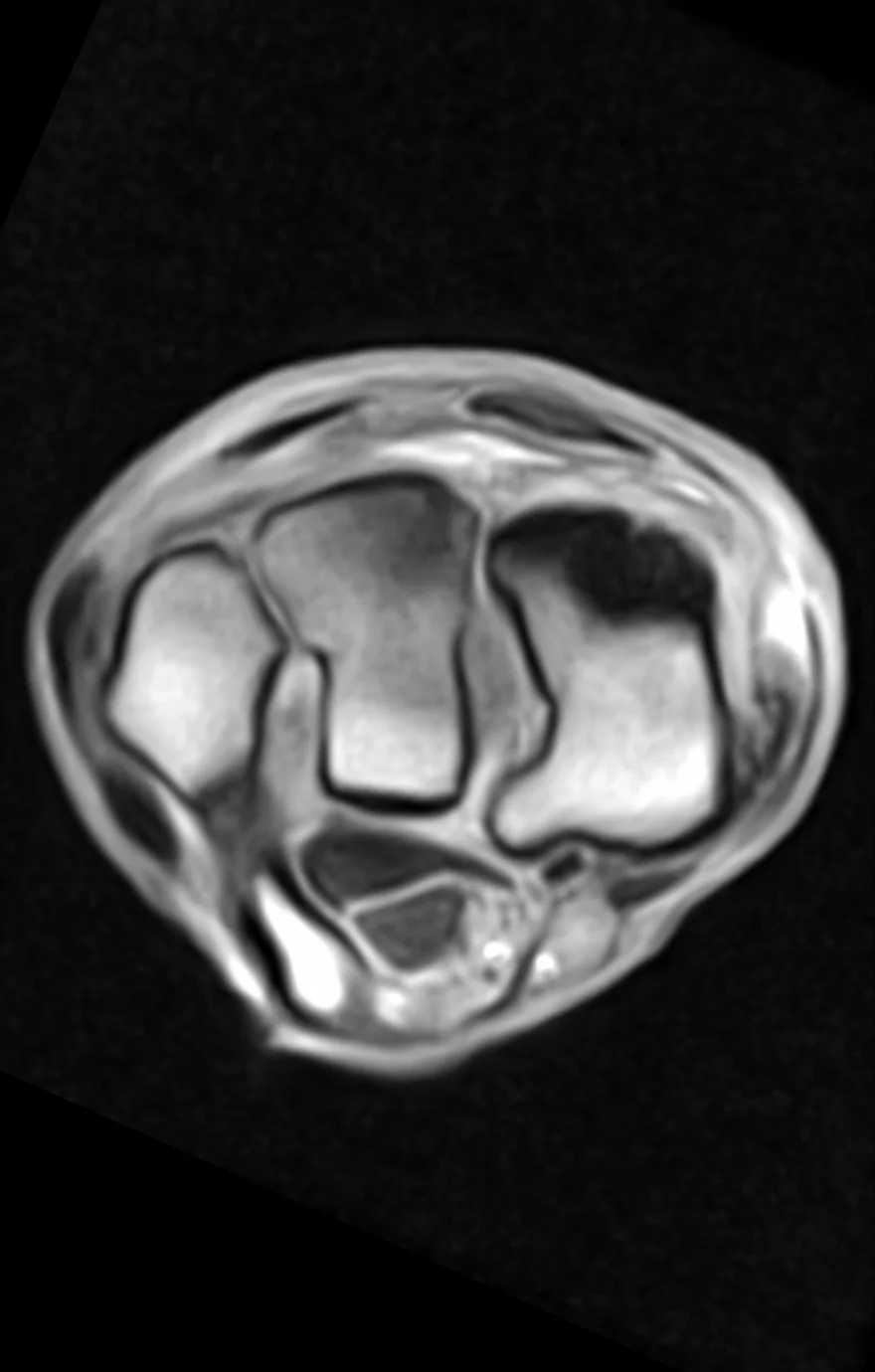 20170114-Screen Shot 2017-01-14 at 12.26.54 PM.jpg