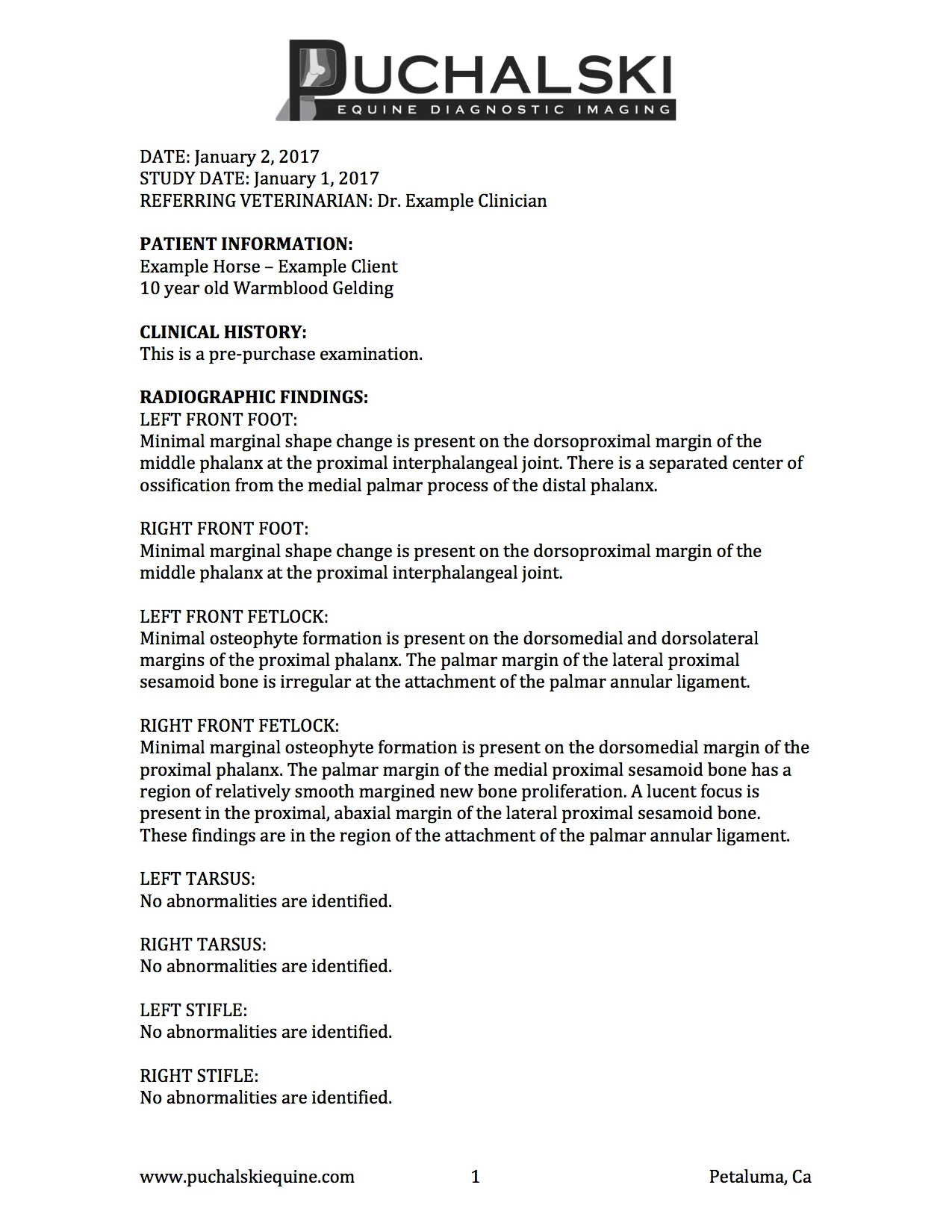 Example PPE Report page 1.jpg