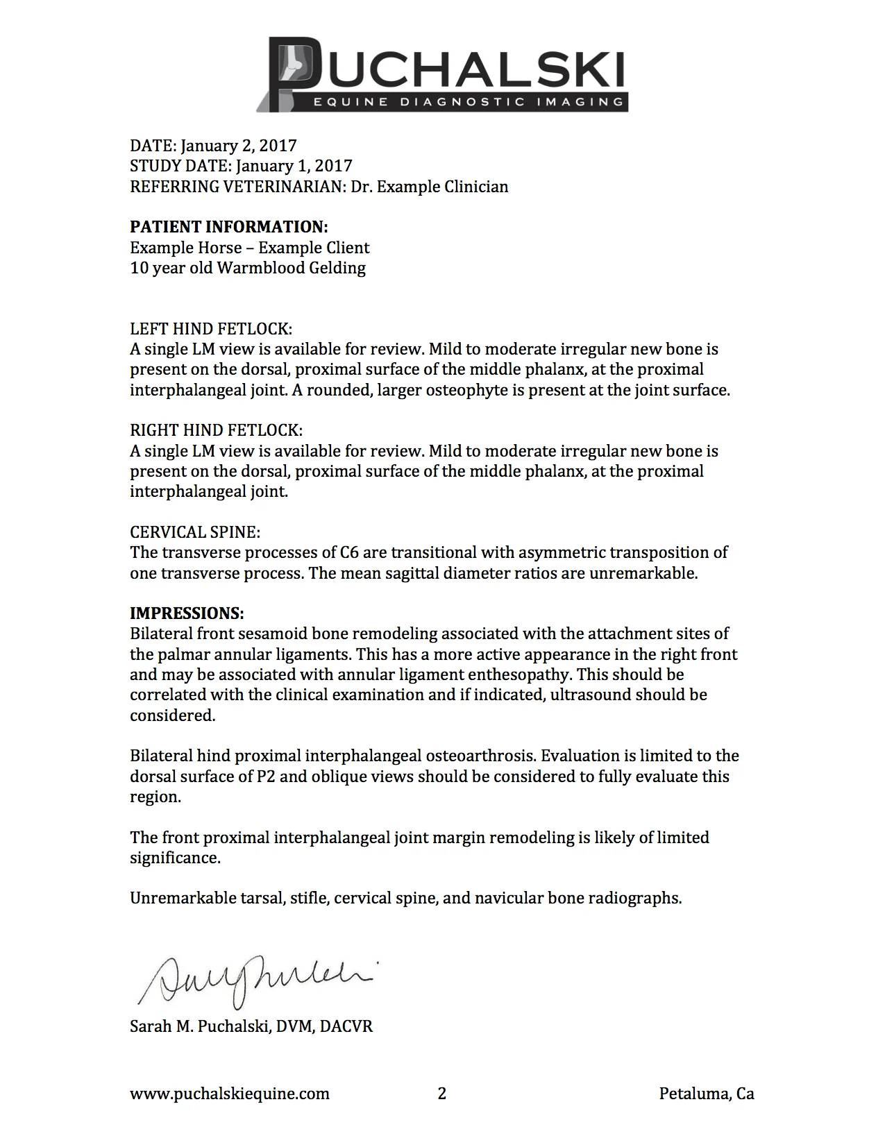 Example PPE Report.jpg