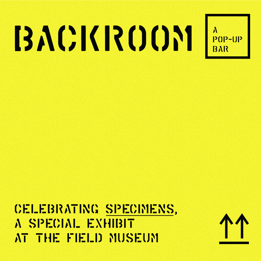 BACKROOM