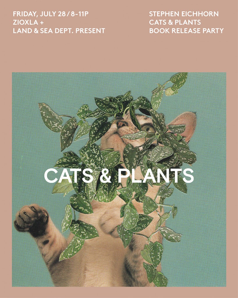CATS-AND-PLANTS-1-03-818x1024.jpg