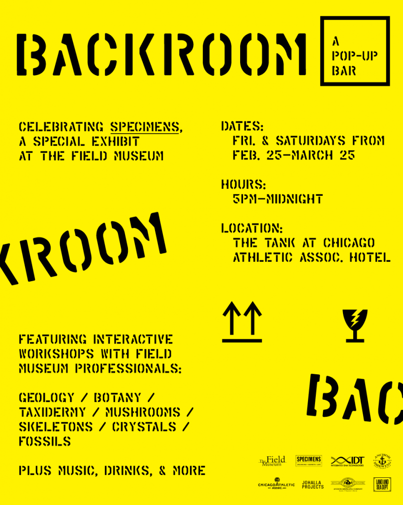 BACKROOM-Big-Sign-outline-819x1024.png
