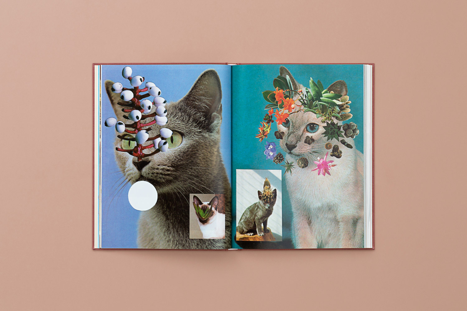CATS_PLANTS_07-copy.jpg
