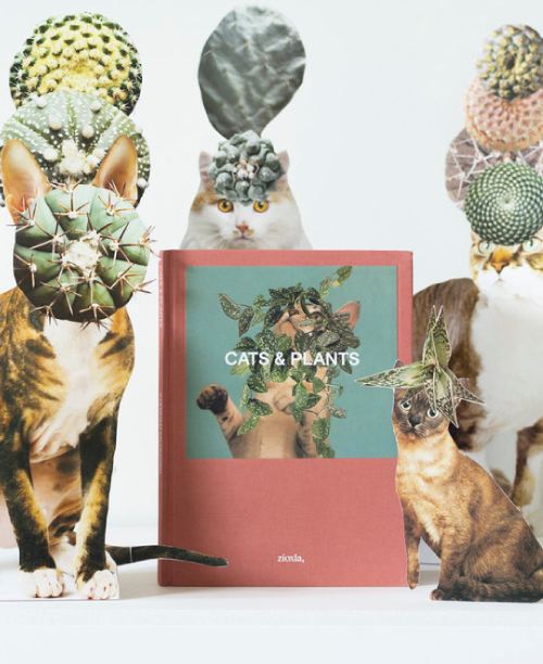 0102#Stephen Eichhorn Cats &amp; Plants Book Release Party
