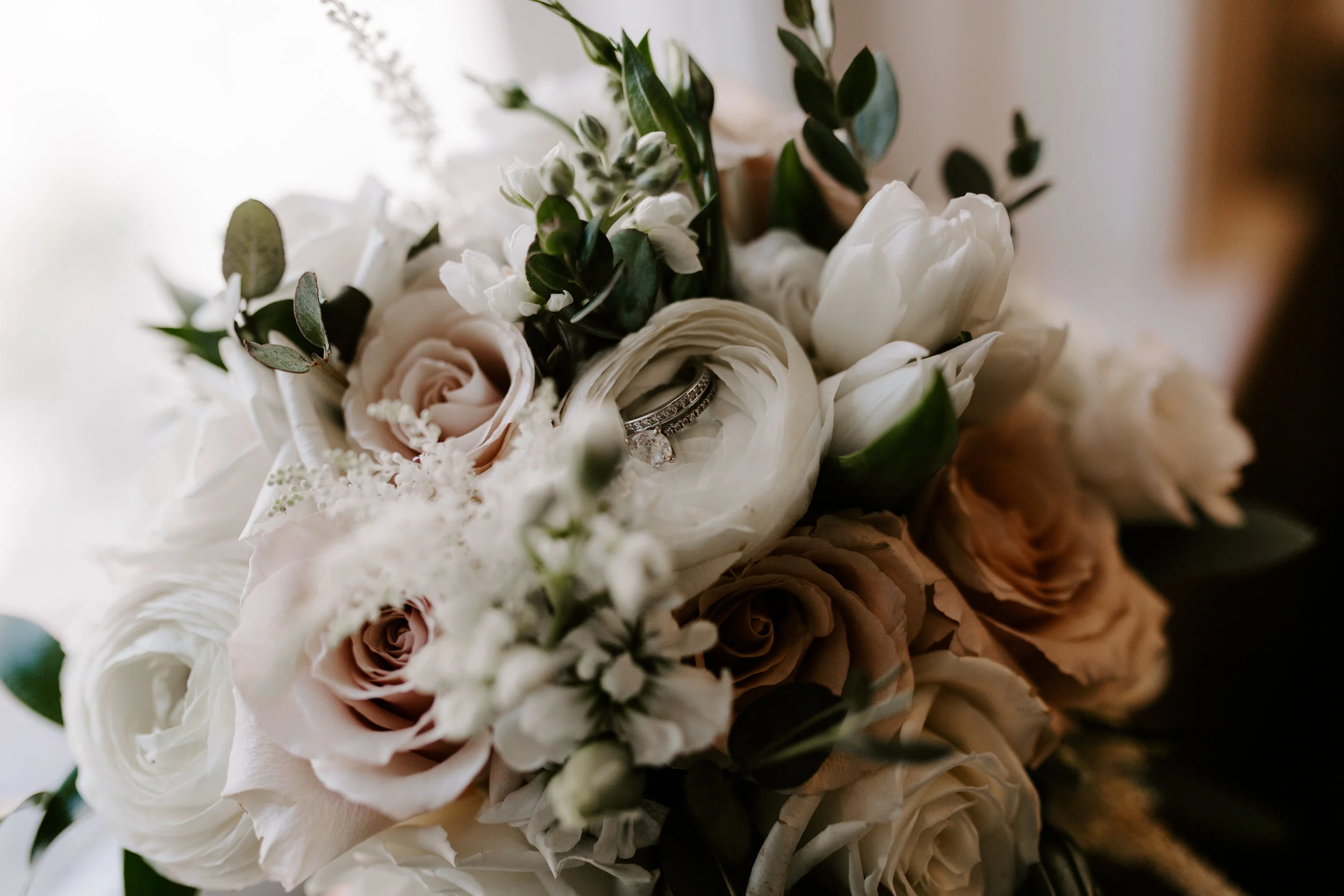 IR_2018 (22 of 575).jpg