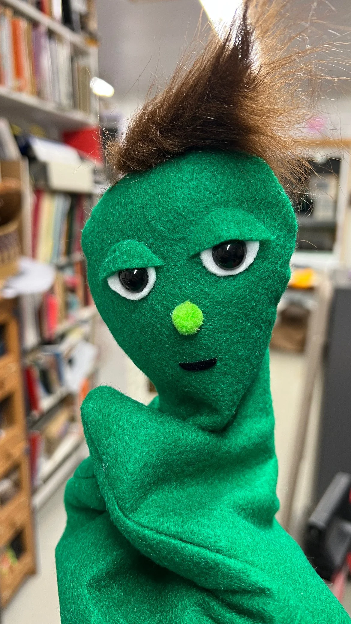 Hand Puppet Skills Workshop