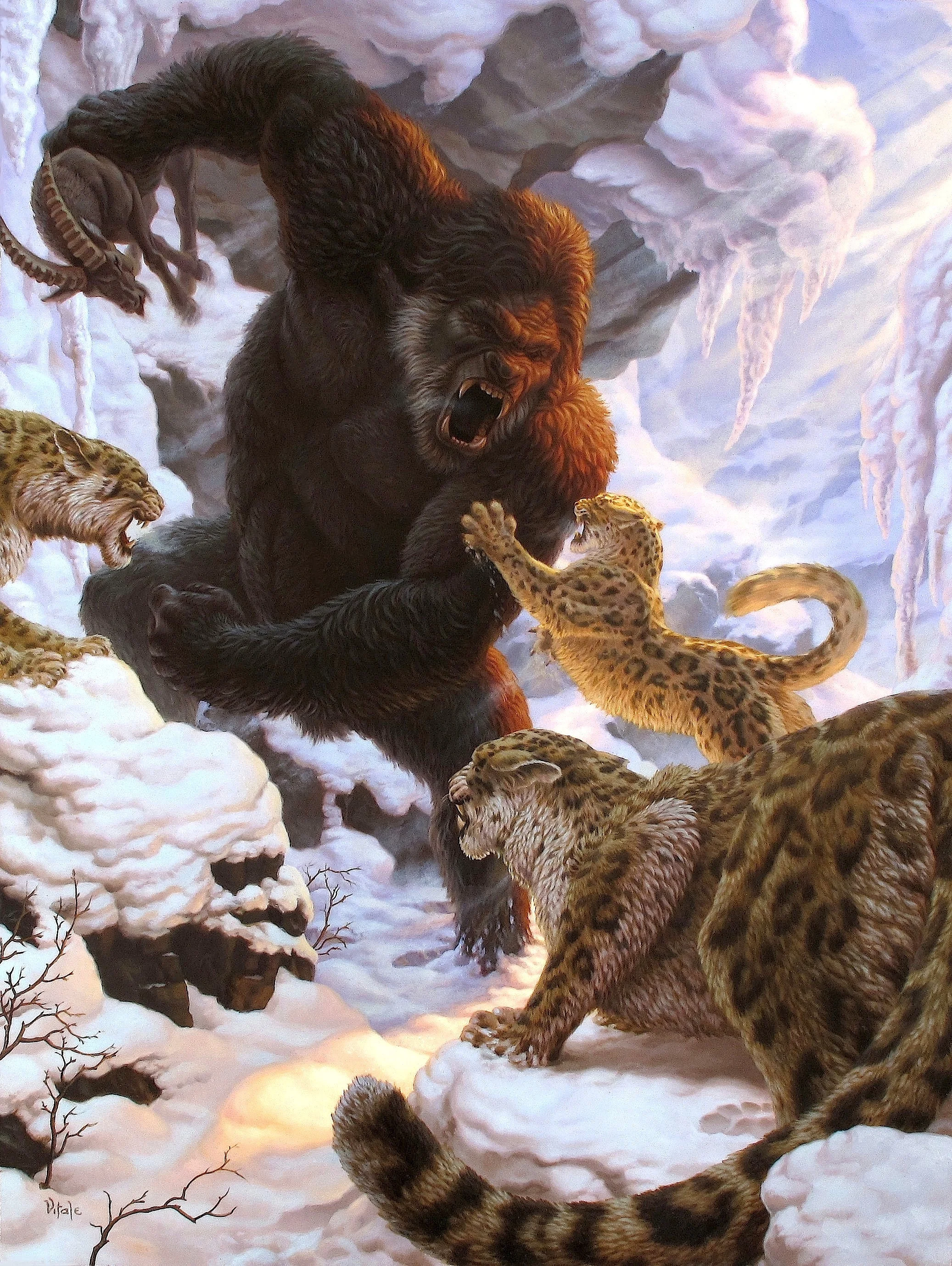 yeti clean.jpg