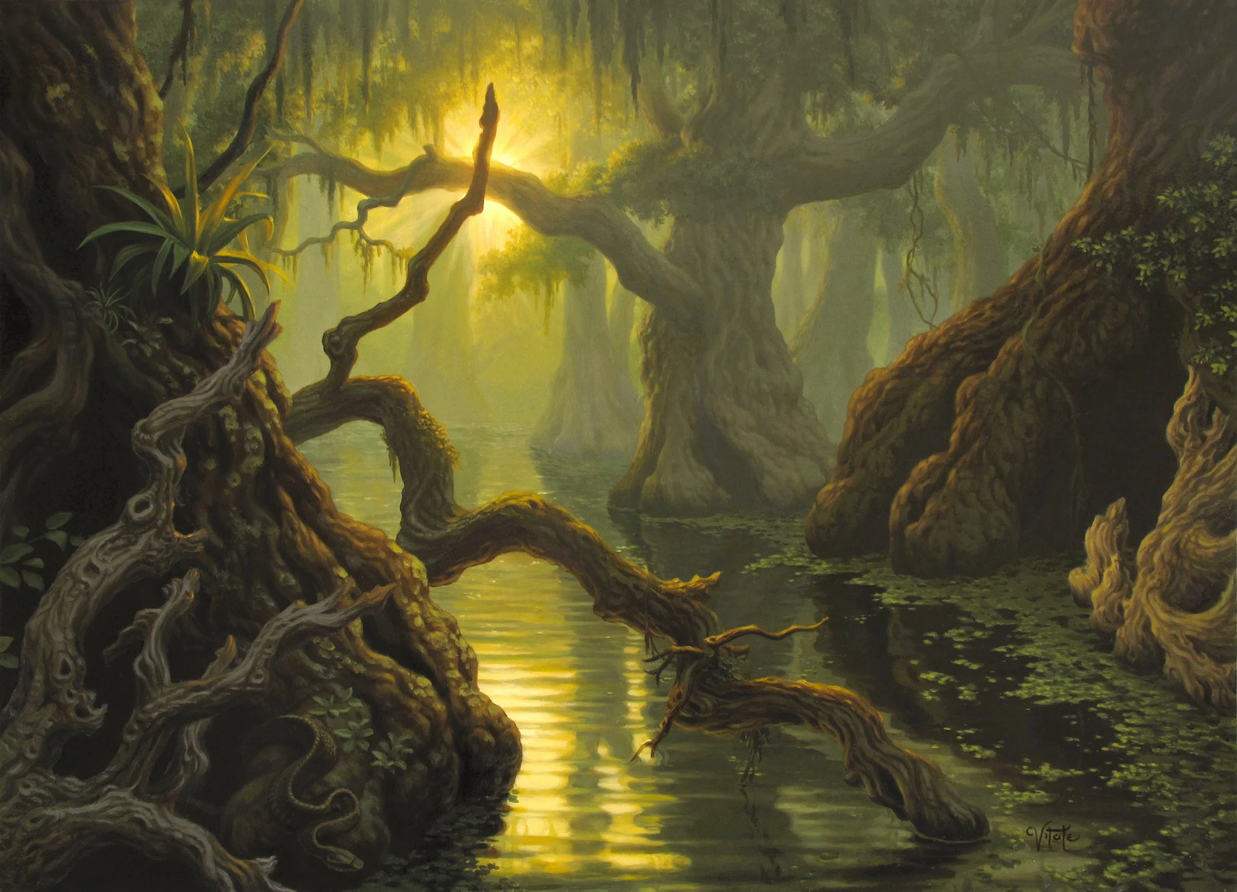 Bayou © Wizards of the Coast