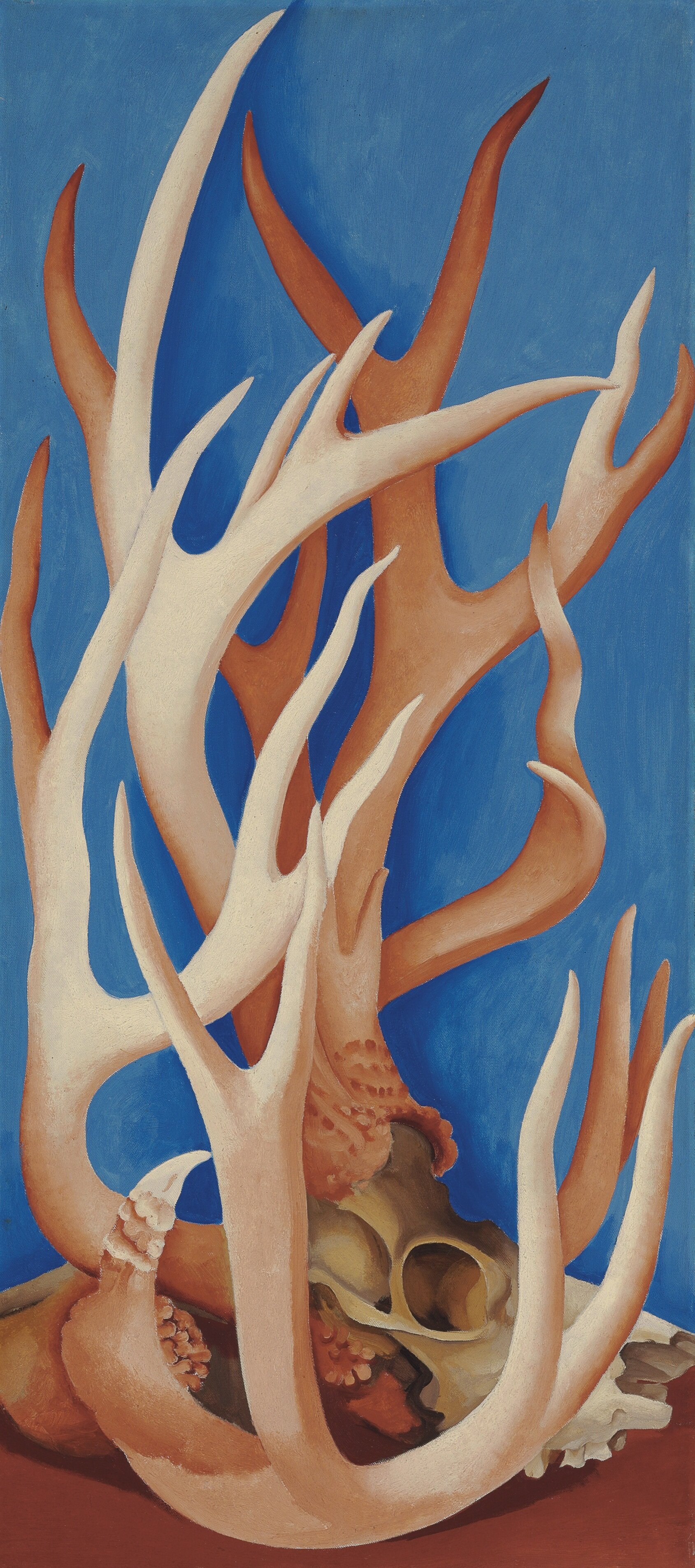  GEORGIA O’KEEFFE (1887-1986)   Deer Horns , 1938. Oil on canvas. 36 x 16 inches. 