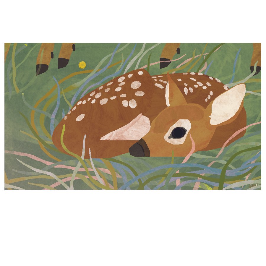 Mama Deer Stays Close By.jpg