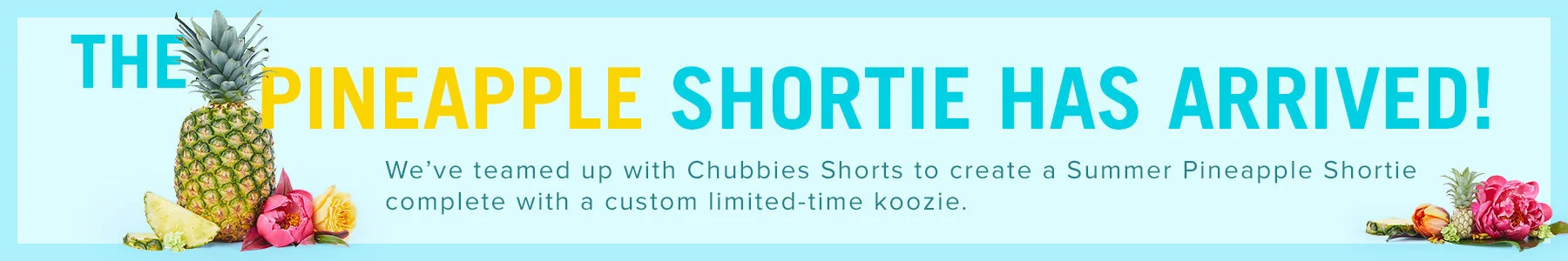 chubbies_collection_page_banner_P1.jpg