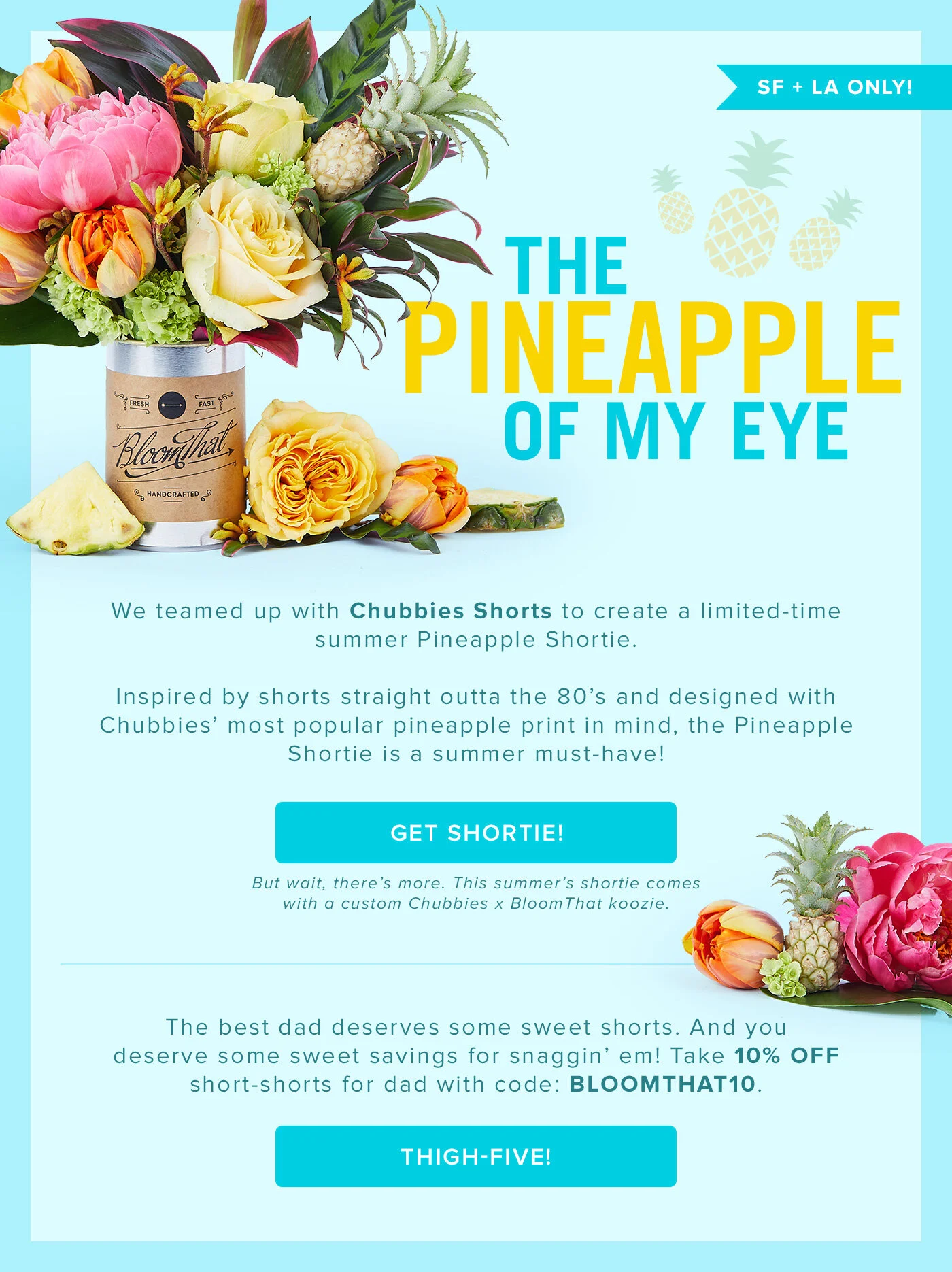 060418_Chubbies_Pineapple_Summer_Shortie_04.jpg