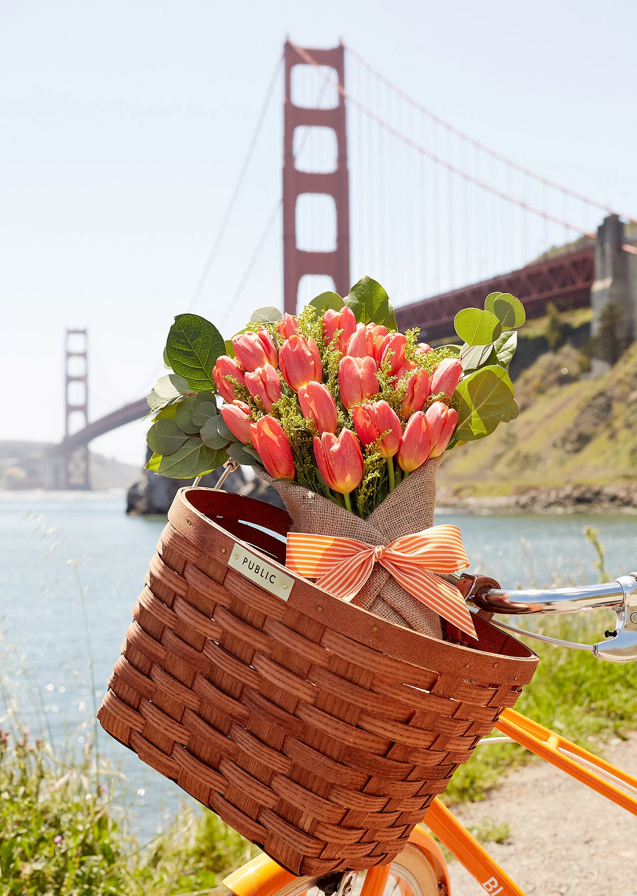 bloomthat-publicbikes-1.jpg
