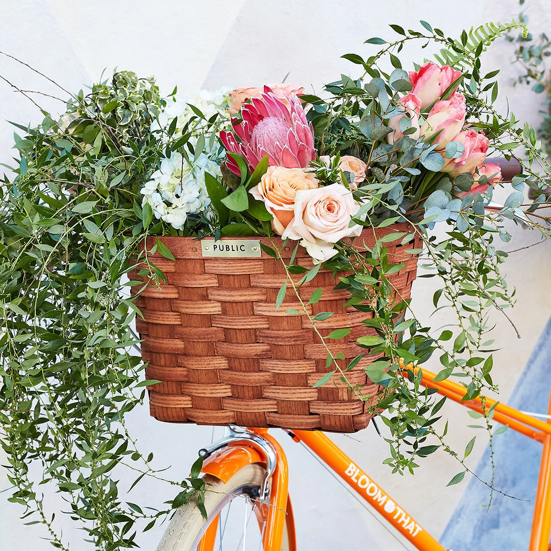 bloomthat-publicbikes-3.jpg