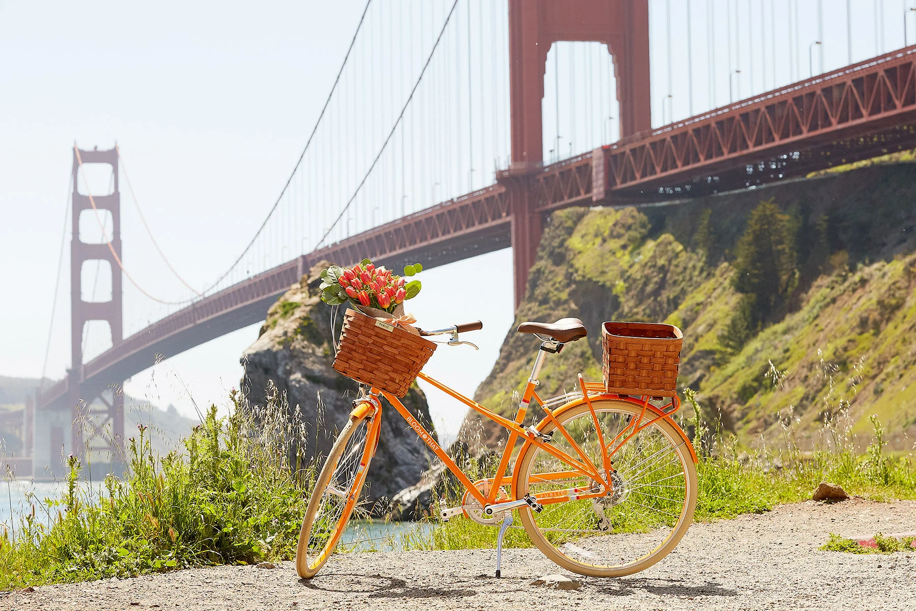 bloomthat-publicbikes-2.jpg