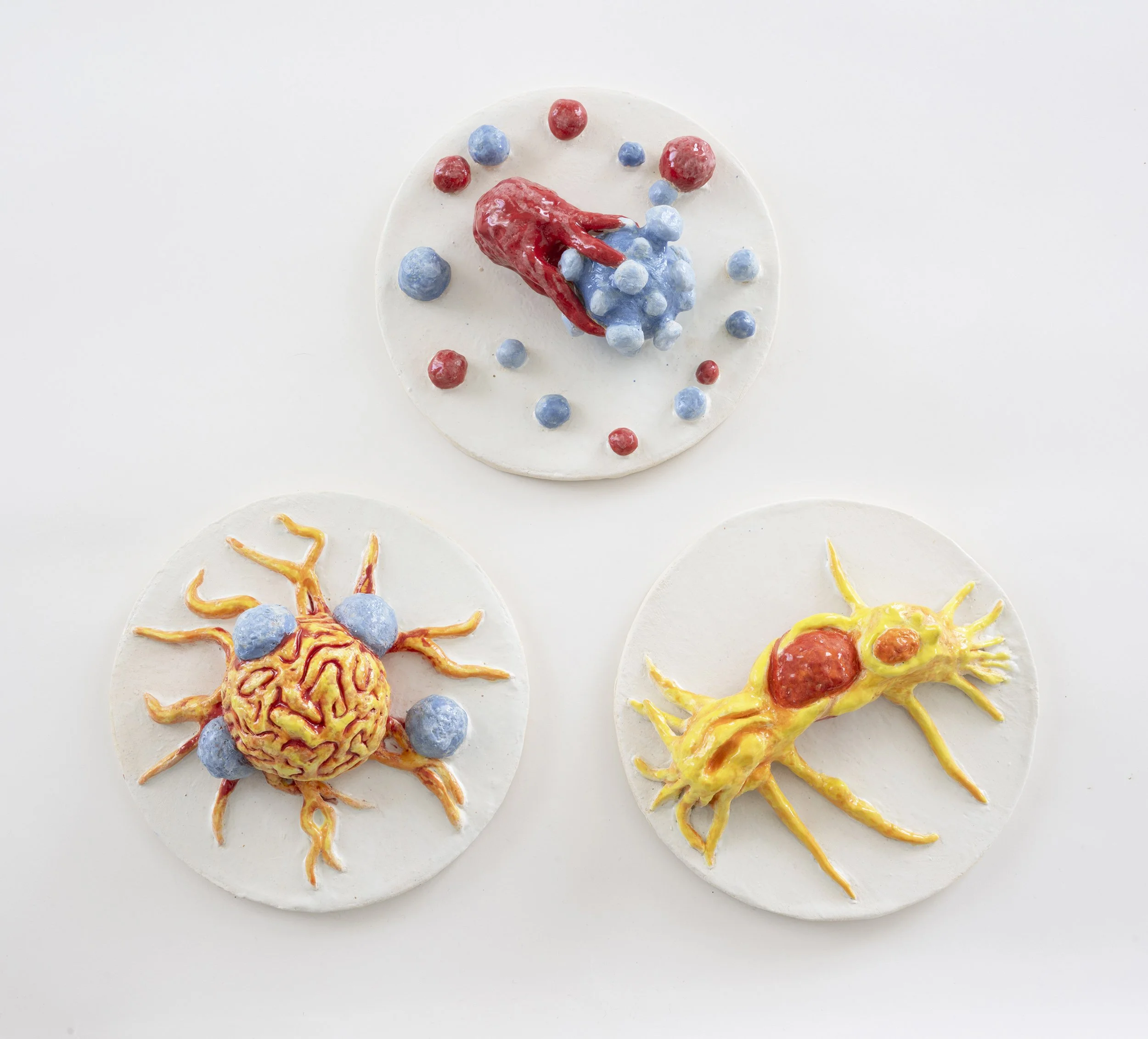 Immune Cells Attacking Cancer Cells