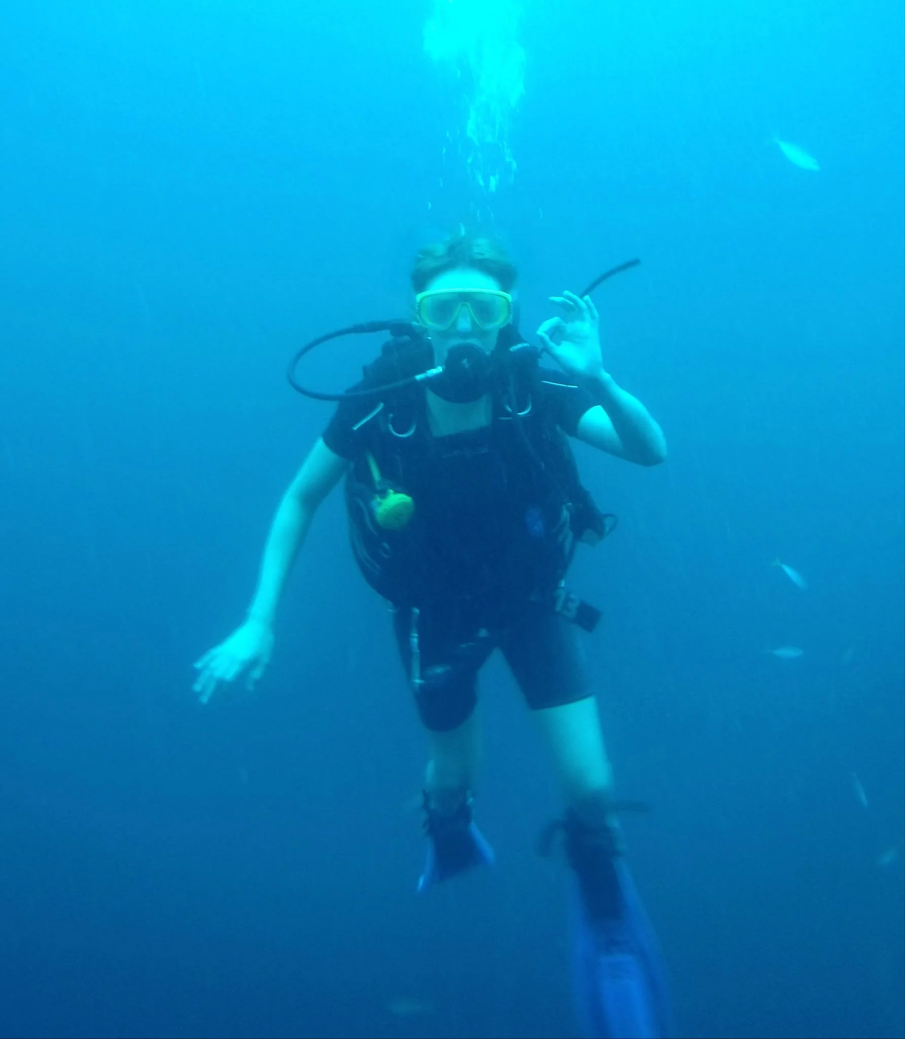 scuba.jpg