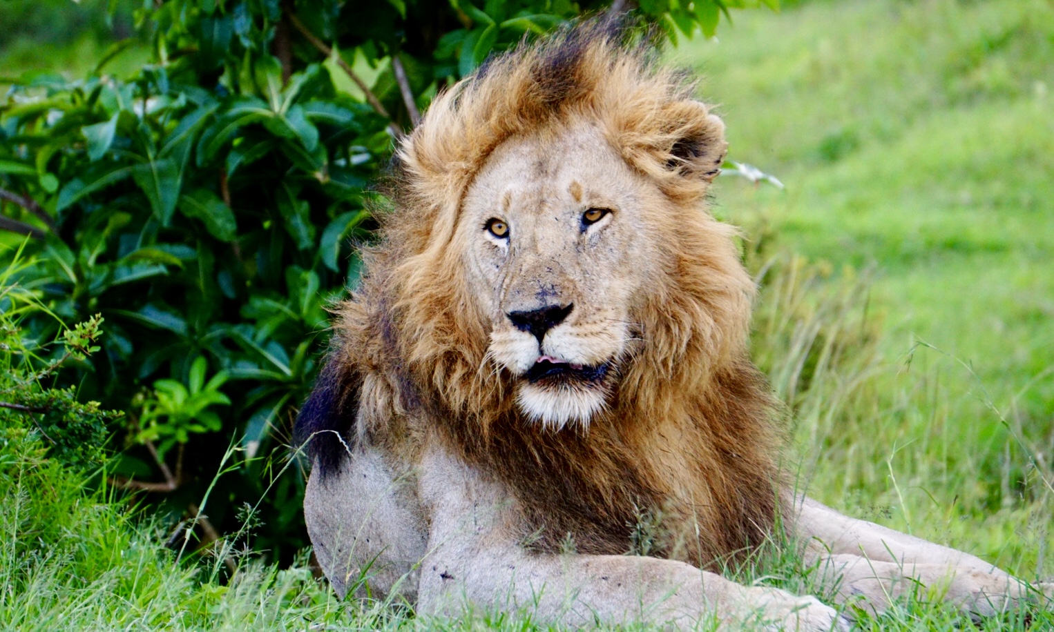 Kenya