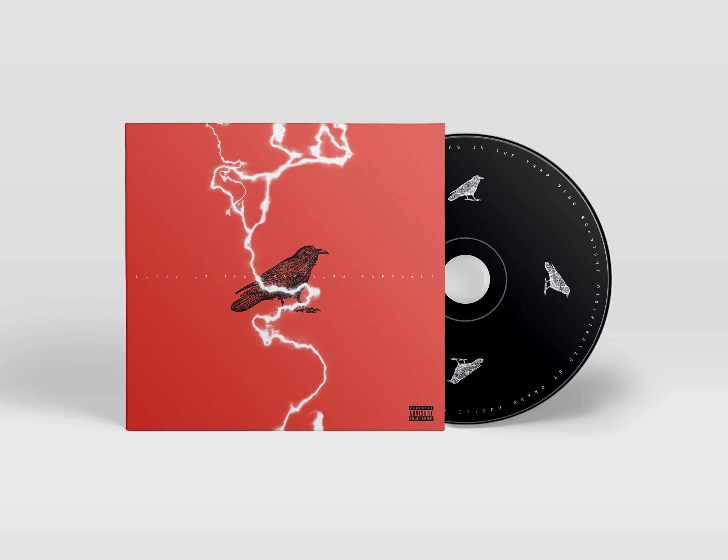 Birds Trap Mock-Up_NEWEST2.jpg