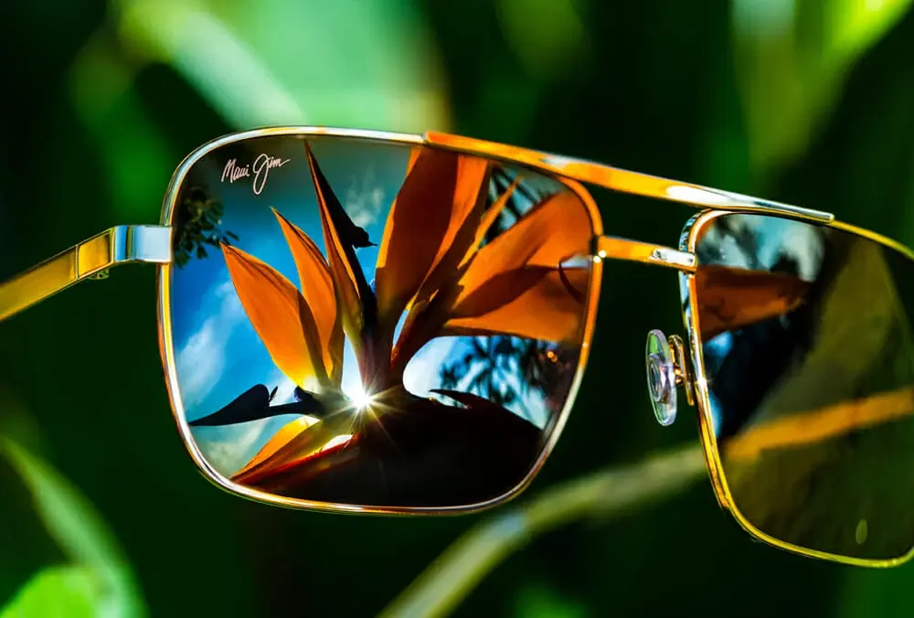 Maui Jim