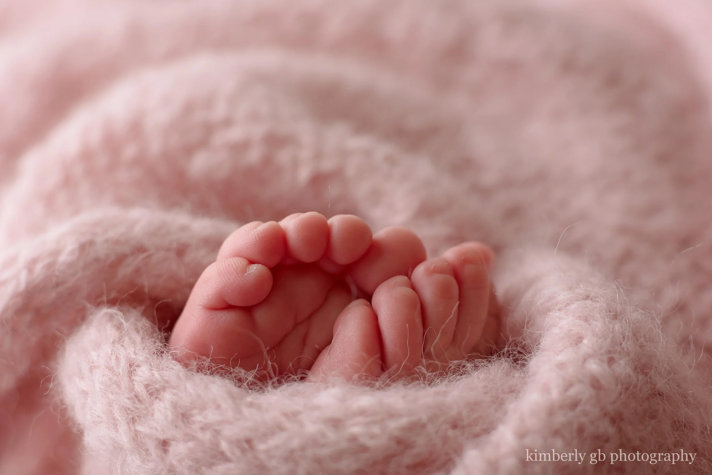 fotografia-de-recien-nacidos-bebes-newborn-en-puerto-rico-kimberly-gb-photography-fotografa-517.jpg