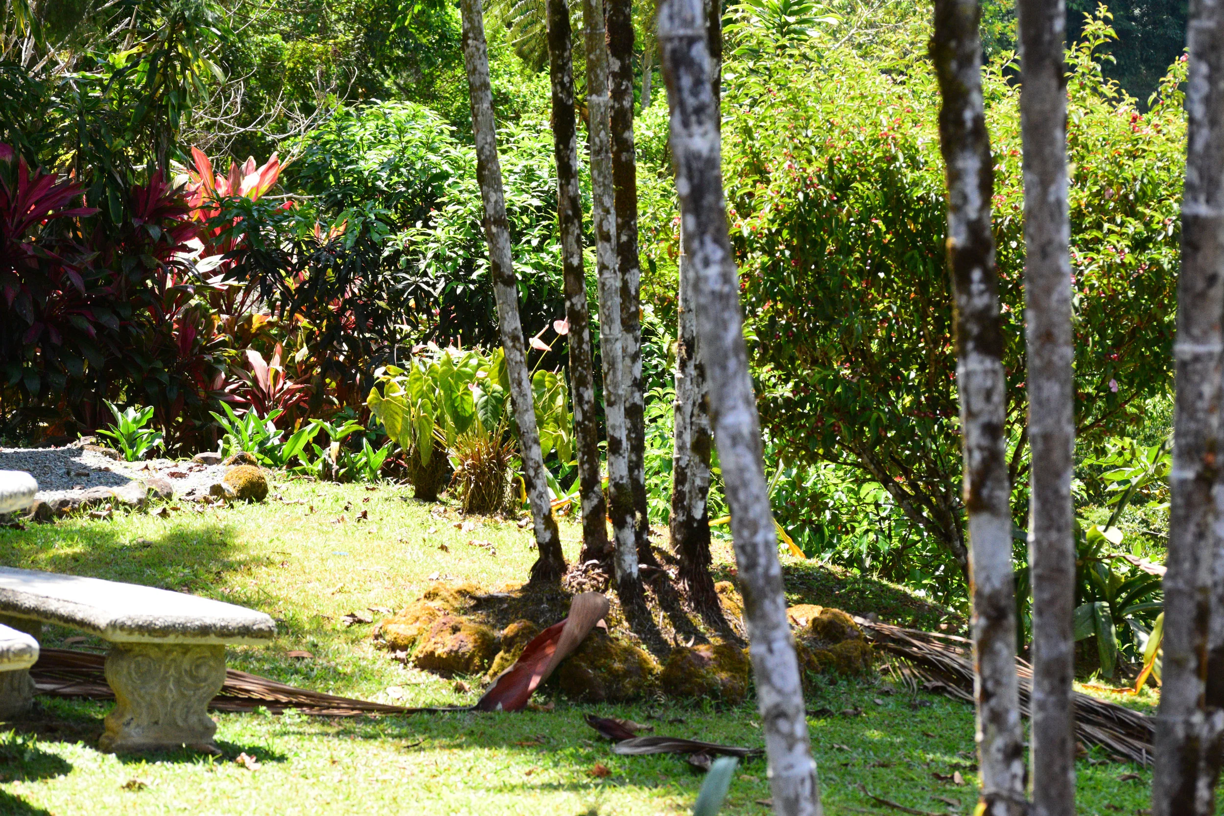 DSC_1509.jpg