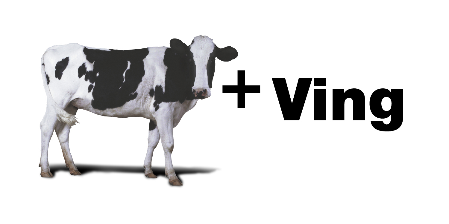 Mooving postcard.