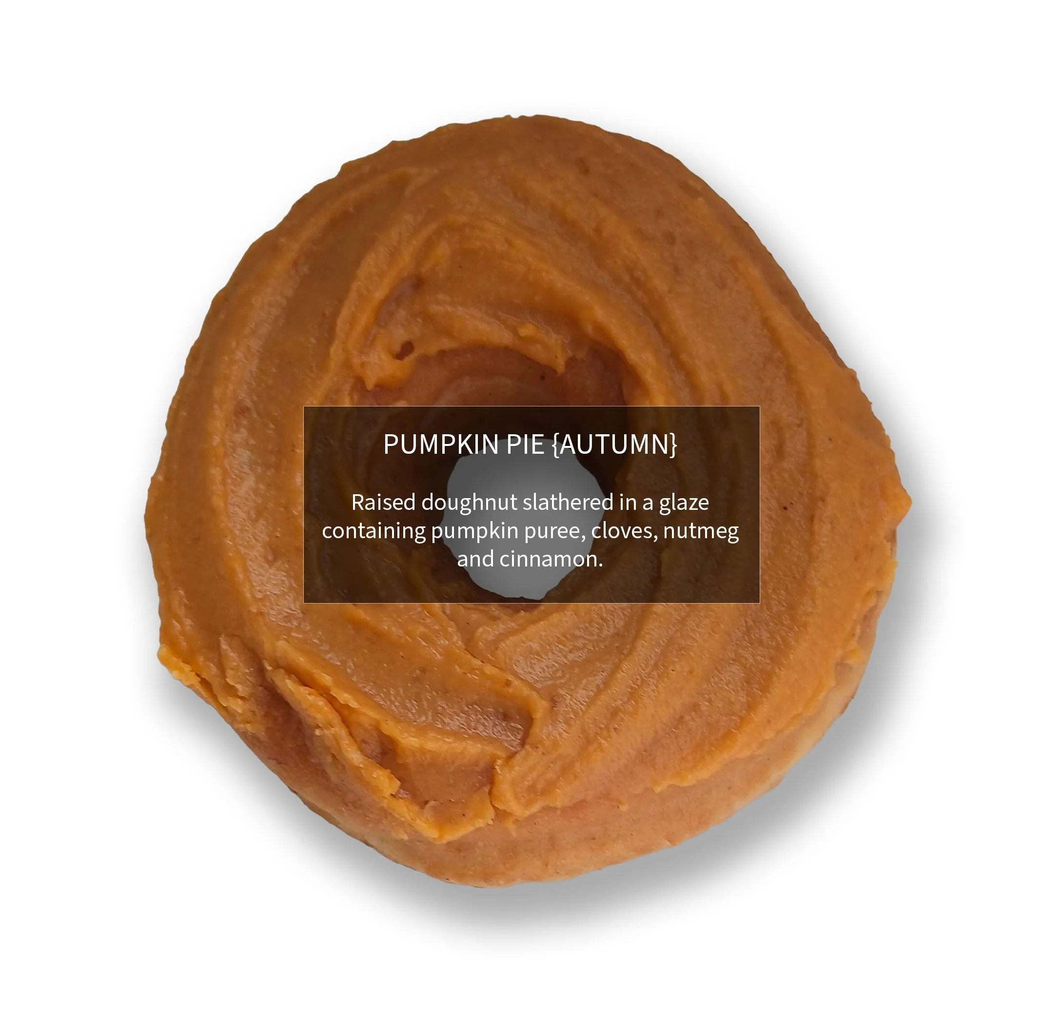 PUMPKIN PIE {Autumn}