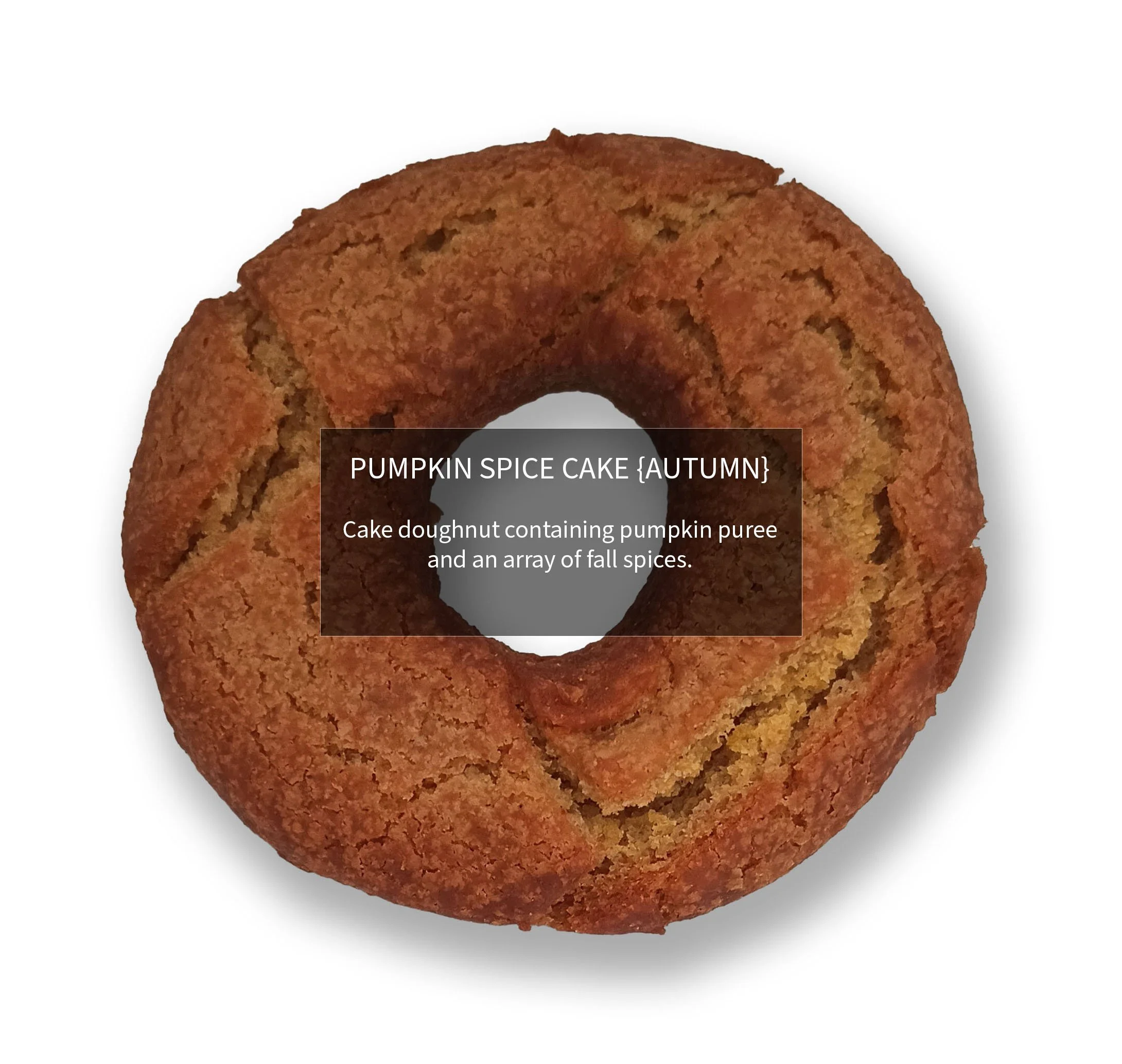 PUMPKIN SPICE CAKE {Autumn} 