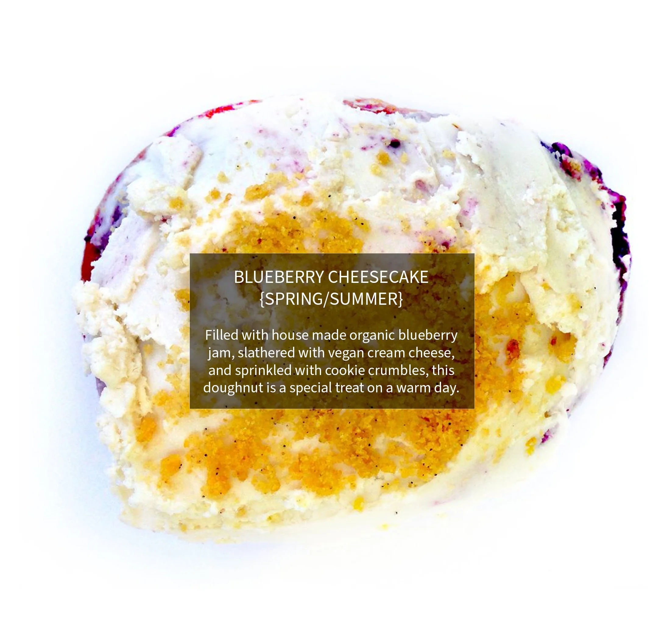 BLUEBERRY CHEESECAKE {Spring/Summer}