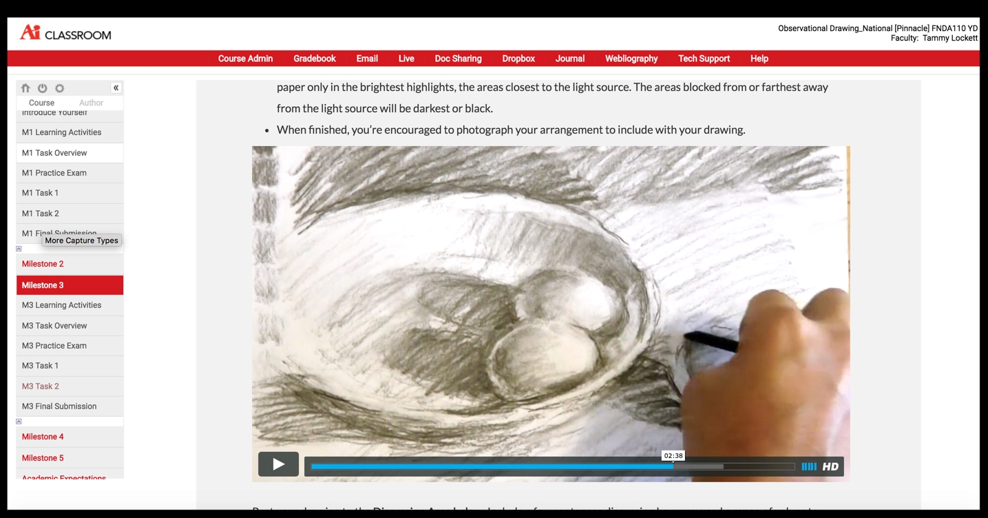 AssignmentTutorial_Observational Drawing_02.jpg