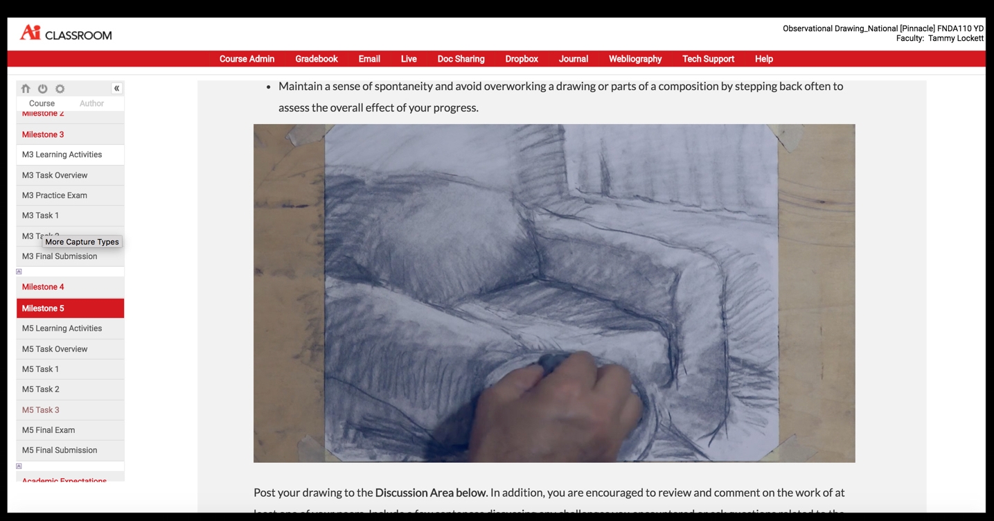 AssignmentTutorial_Observational Drawing_01.jpg