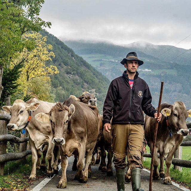 Trentino Alto-Adige/S&uuml;dtirol: Ho conosciuto G&uuml;nter Wallnofer un po&rsquo; di anni fa, oltre ad essere un eccezionale allevatore &egrave; stato fautore di una forte iniziativa ambientalista, le sue mucche non avrebbero mai pi&ugrave; pascola