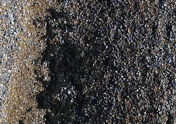 NotPlastic2_SeaweedPorRes.jpg