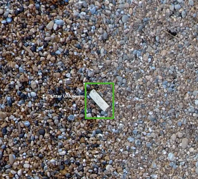 Example_Litter2.jpg