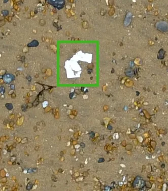 Example_Litter4.jpg