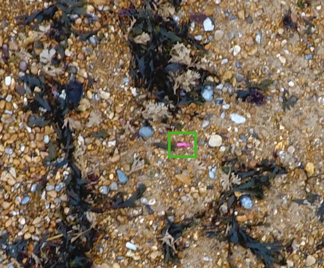 Example_Litter5.jpg