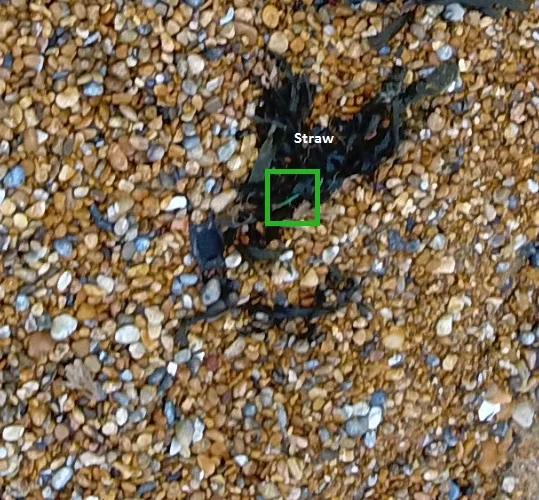 Example_Litter6.jpg
