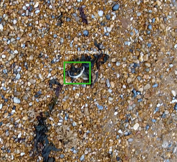 Example_Litter7.jpg