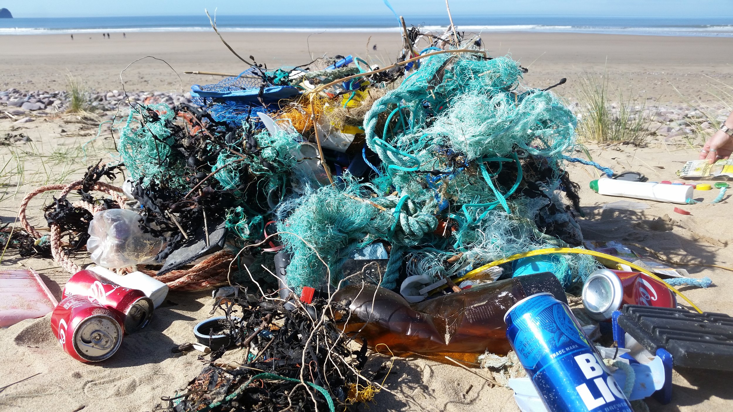 Some of the 14kg we found on Rhossili