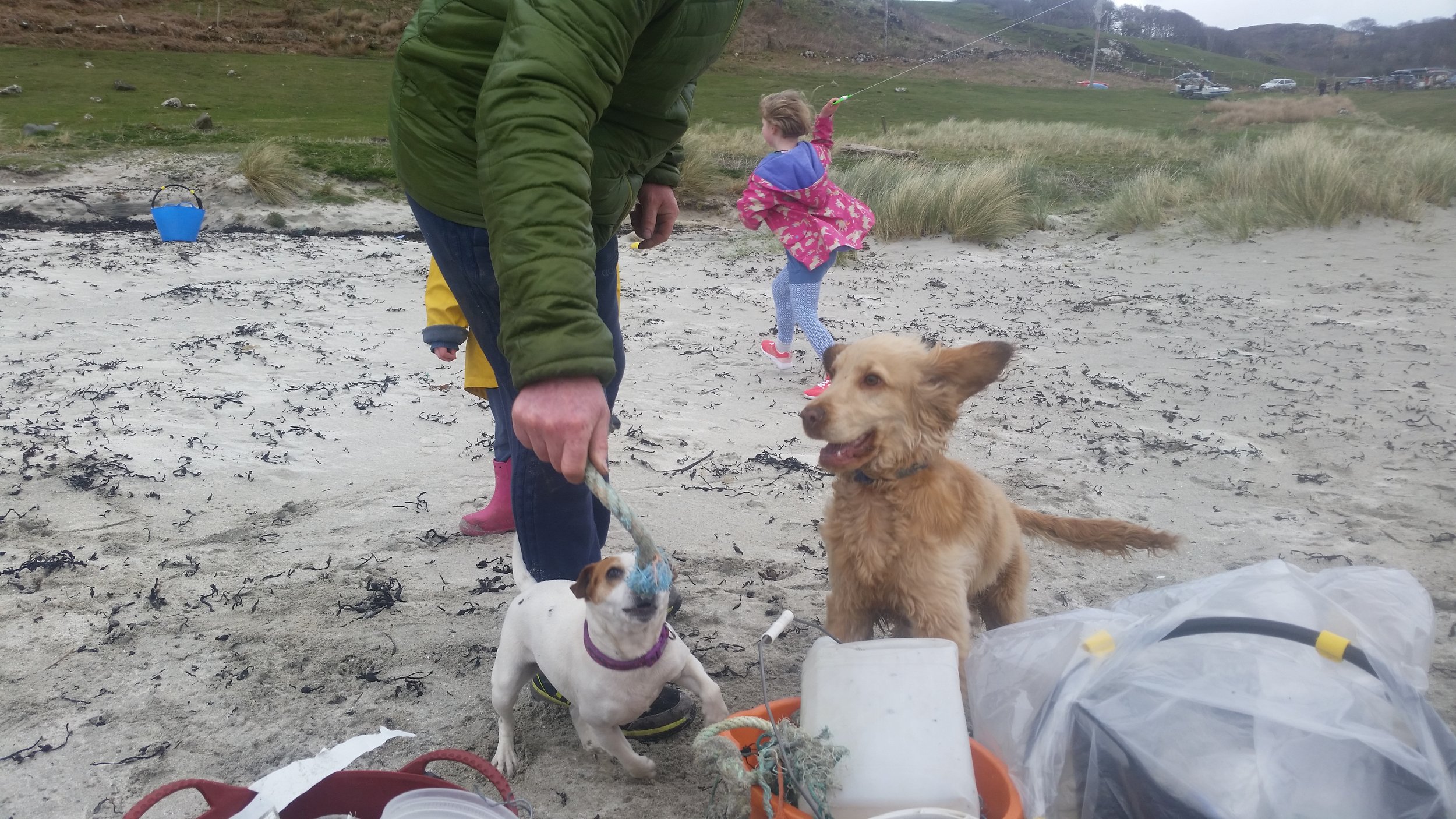 Dogs pick-up beach litter and bring it to owner as a toy. We heard of dogs that have died eating marine and plastic litter on beaches at Gwithian.