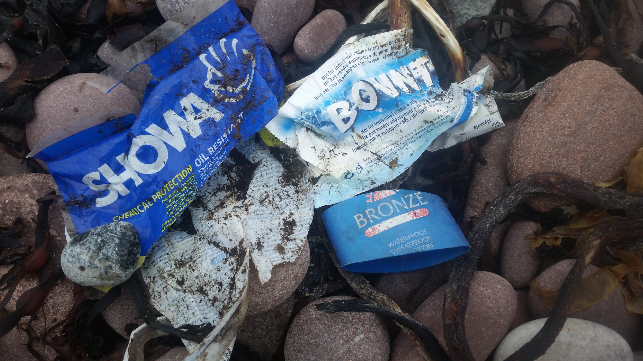 The Showa fisherman's glove. These were depressingly common on Scottish Beaches.