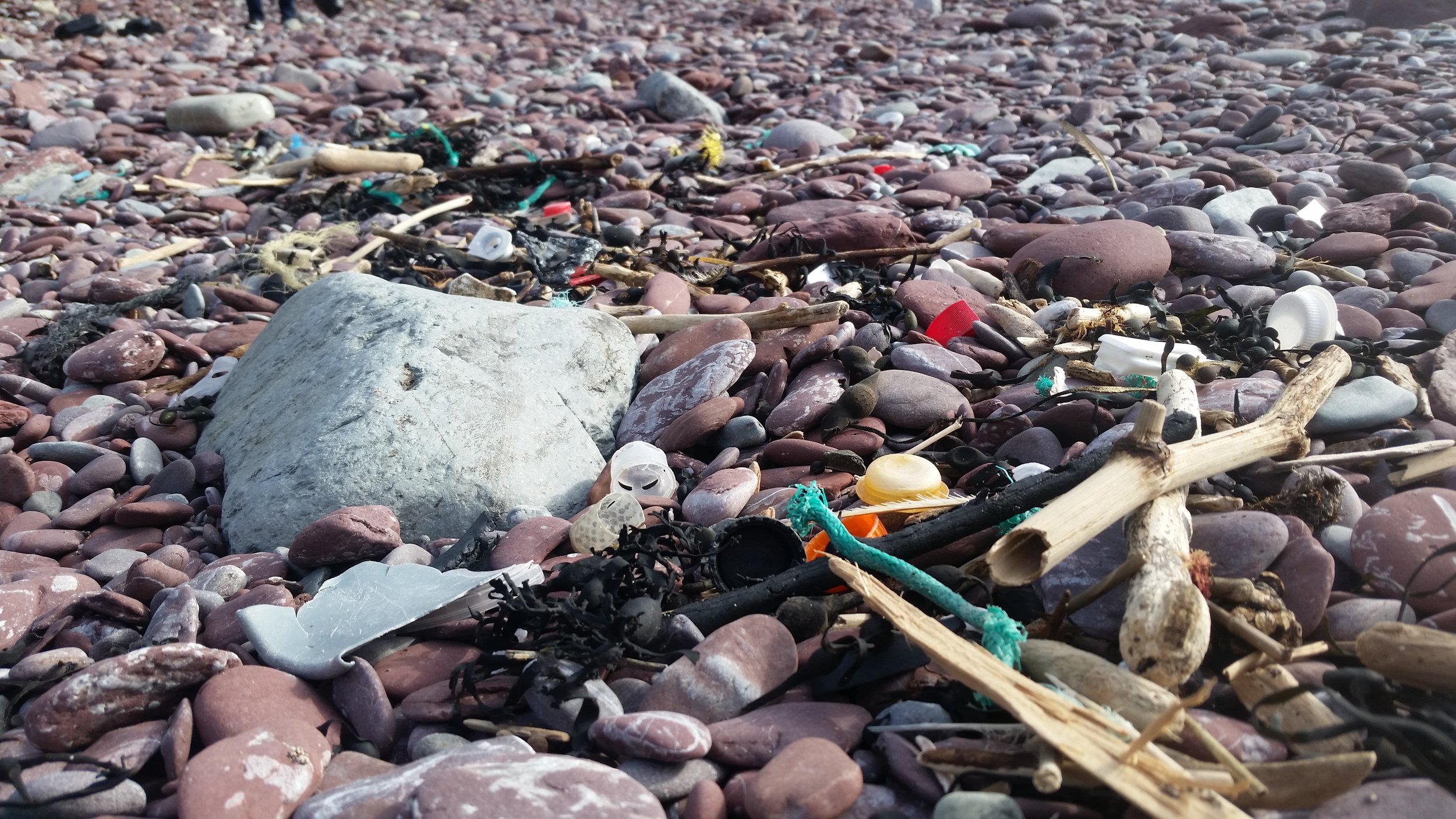 Example of the litter on beaches the algorithm would detect, measure and monitor.