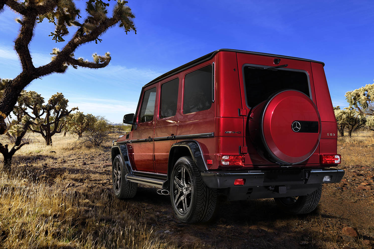 AMG G63.jpg