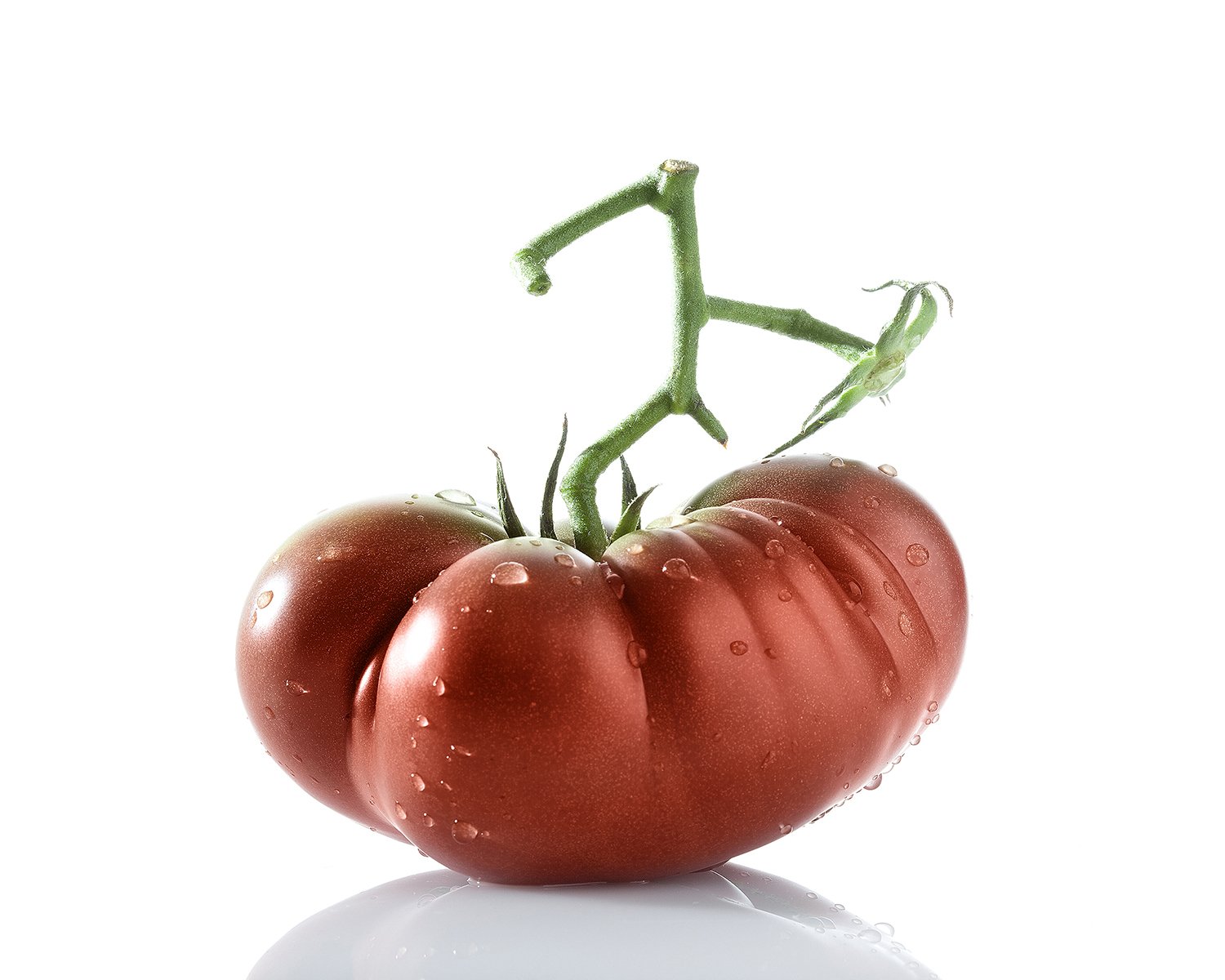 heirloom tomato 1.jpg